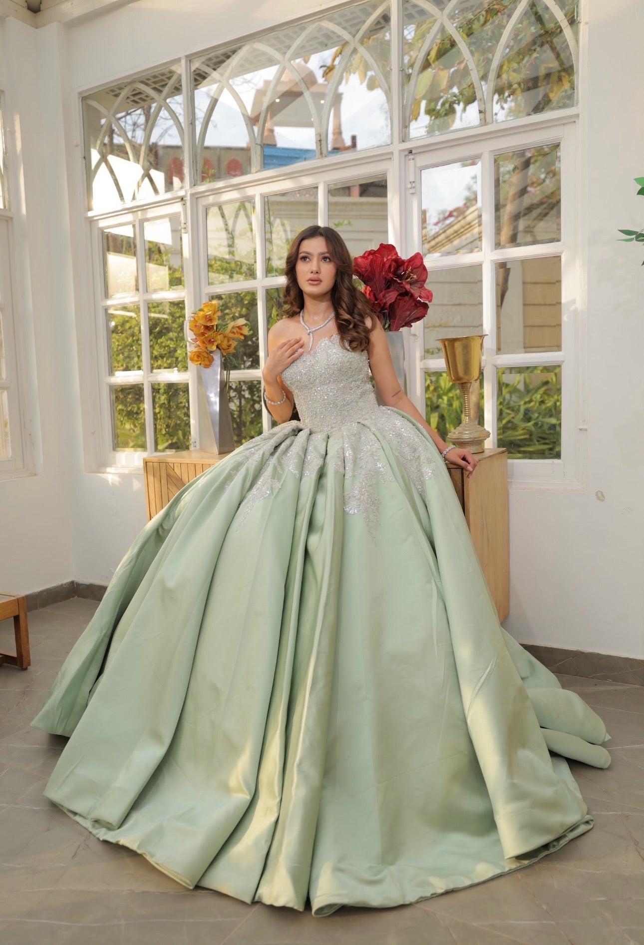 Shimmer Princess Gown